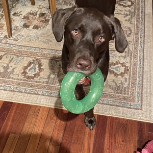 Fundraising Page: Erica Deruyscher